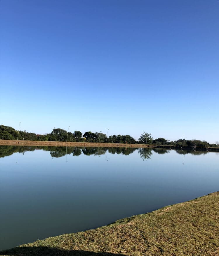 Jardim Parque das Aguas